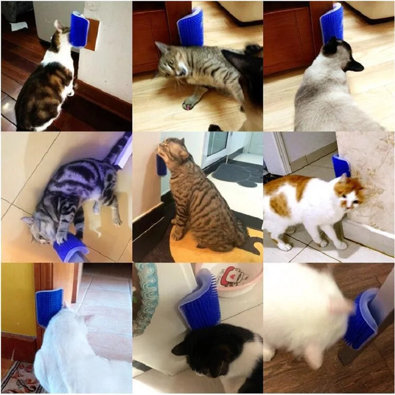 Groom Guru: rascador y herramienta de aseo multifuncional para gatos